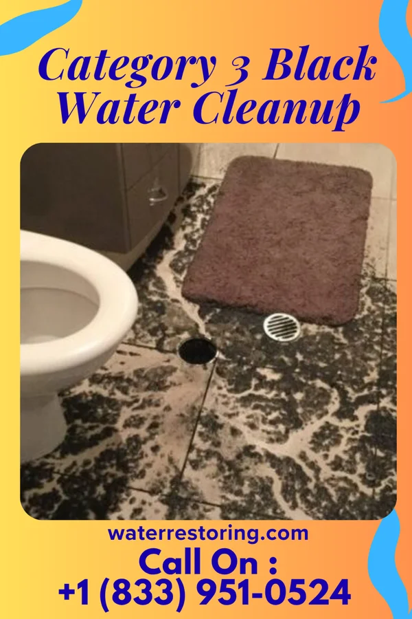 Category 3 Black Water Cleanup in Wautec, CA